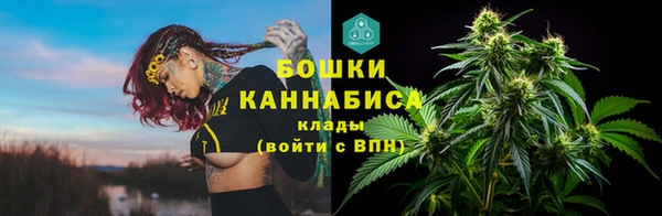 индика Аркадак