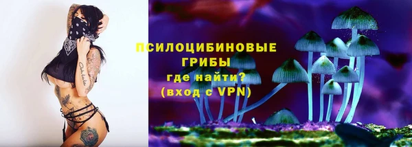 индика Аркадак