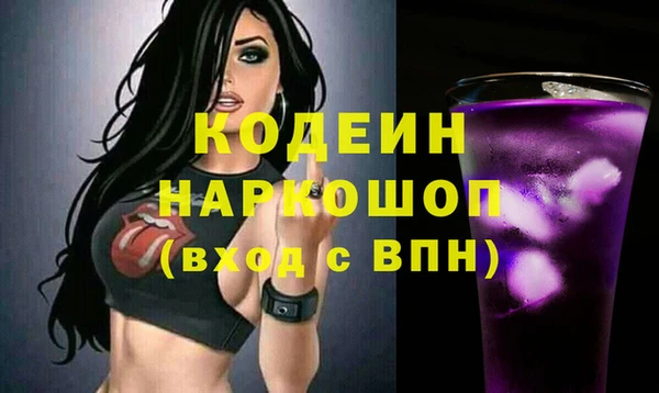 индика Аркадак