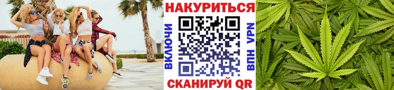 Каннабис OG Kush Кемь
